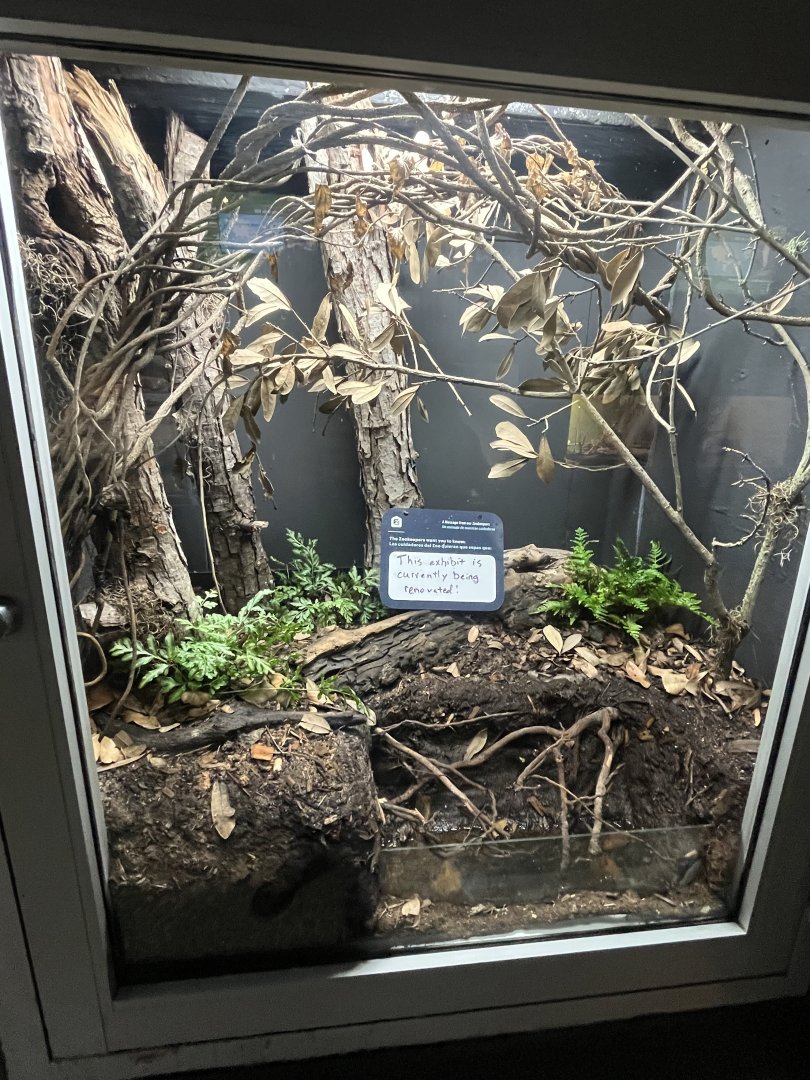 Reptile & Amphibian House updates