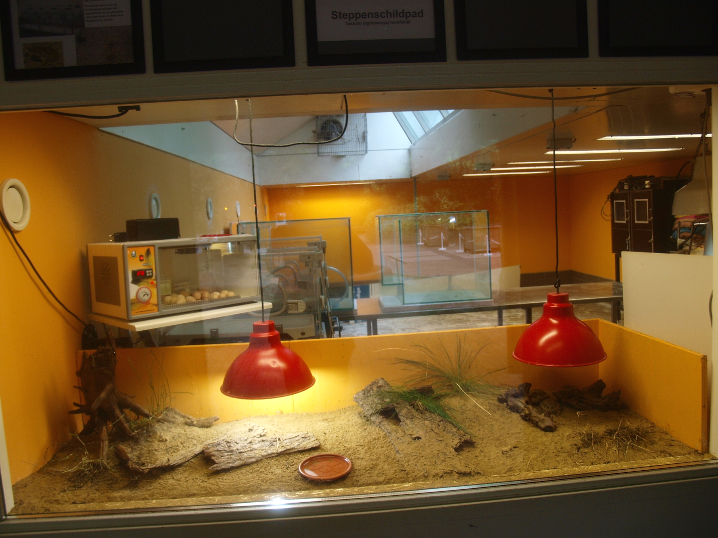 Reptile and amphibian breeding center, 2015-07-19