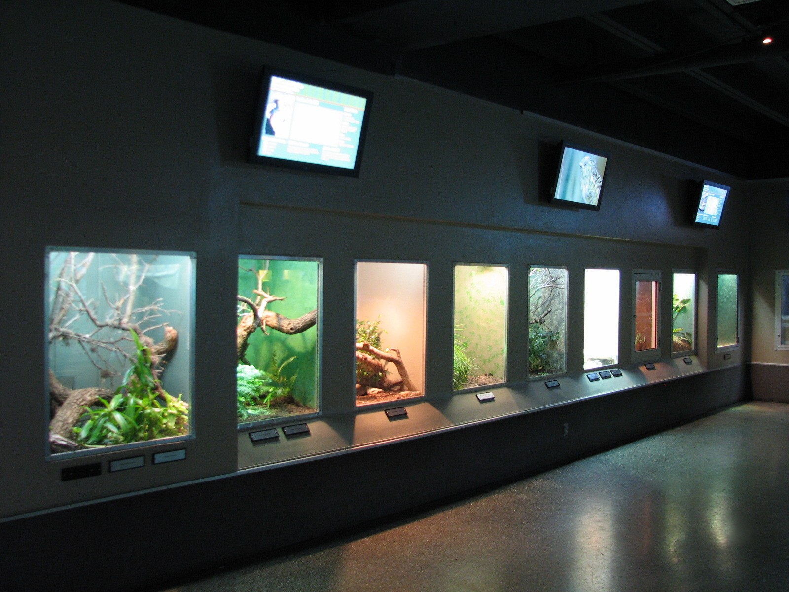 Reptile and Amphibian Building - Interior