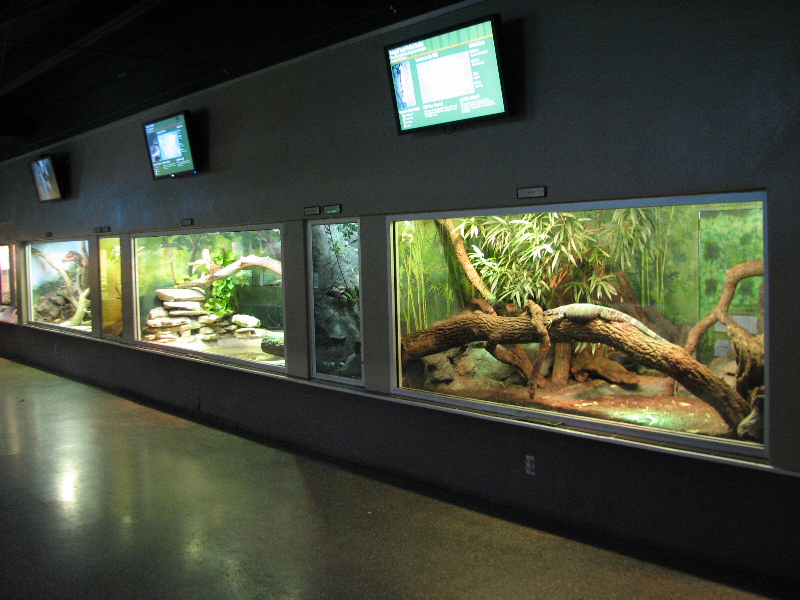 Reptile and Amphibian Building - Interior