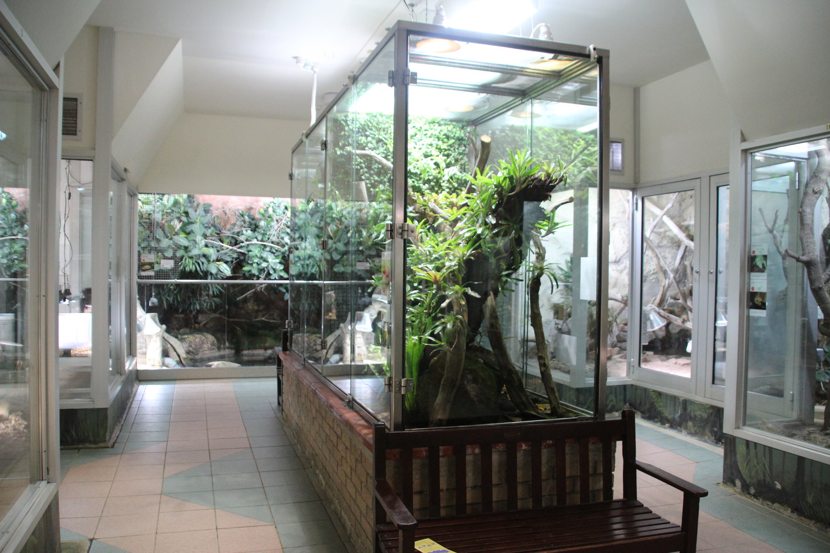 Reptile and Amphibian Building