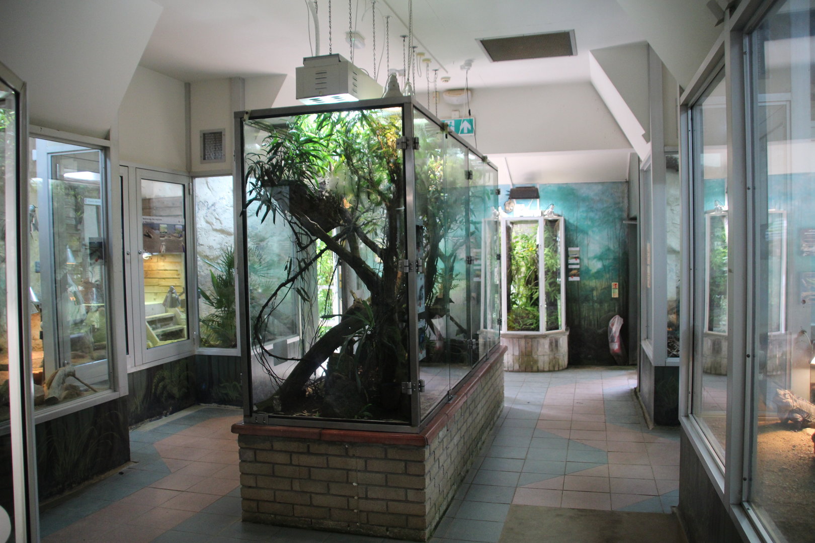 Reptile and Amphibian Building