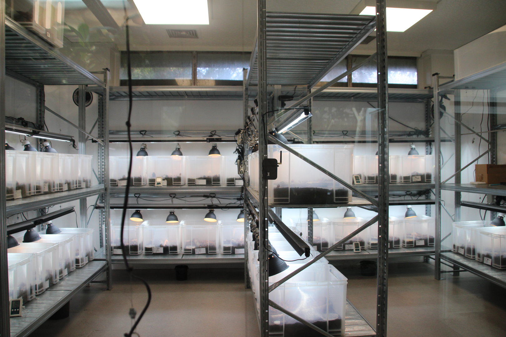 Reptile and Amphibian Building