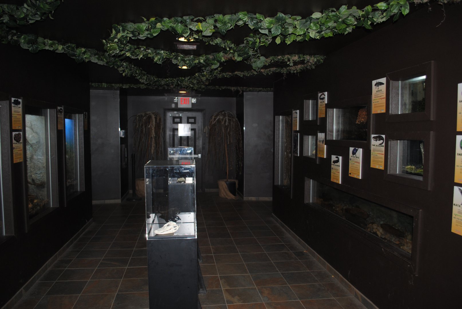 Reptile and Amphibian Discovery Center - interior