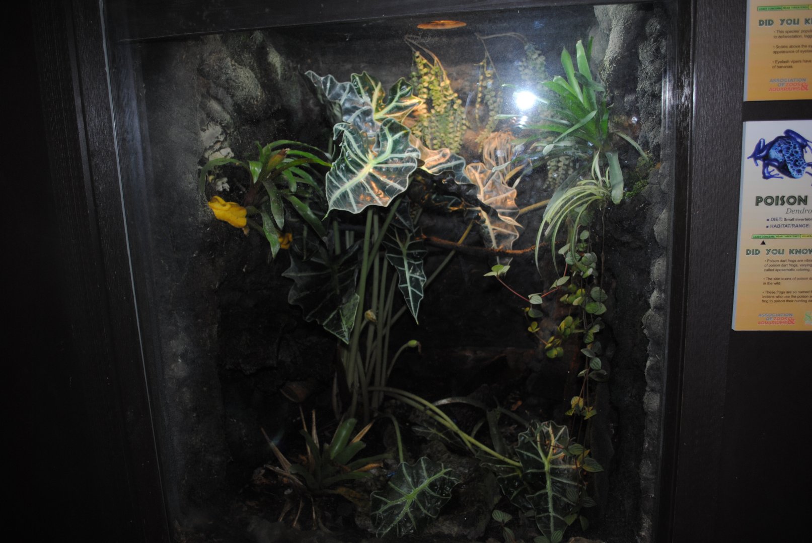 Reptile and Amphibian Discovery Center