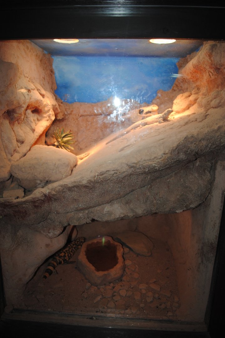 Reptile and Amphibian Discovery Center