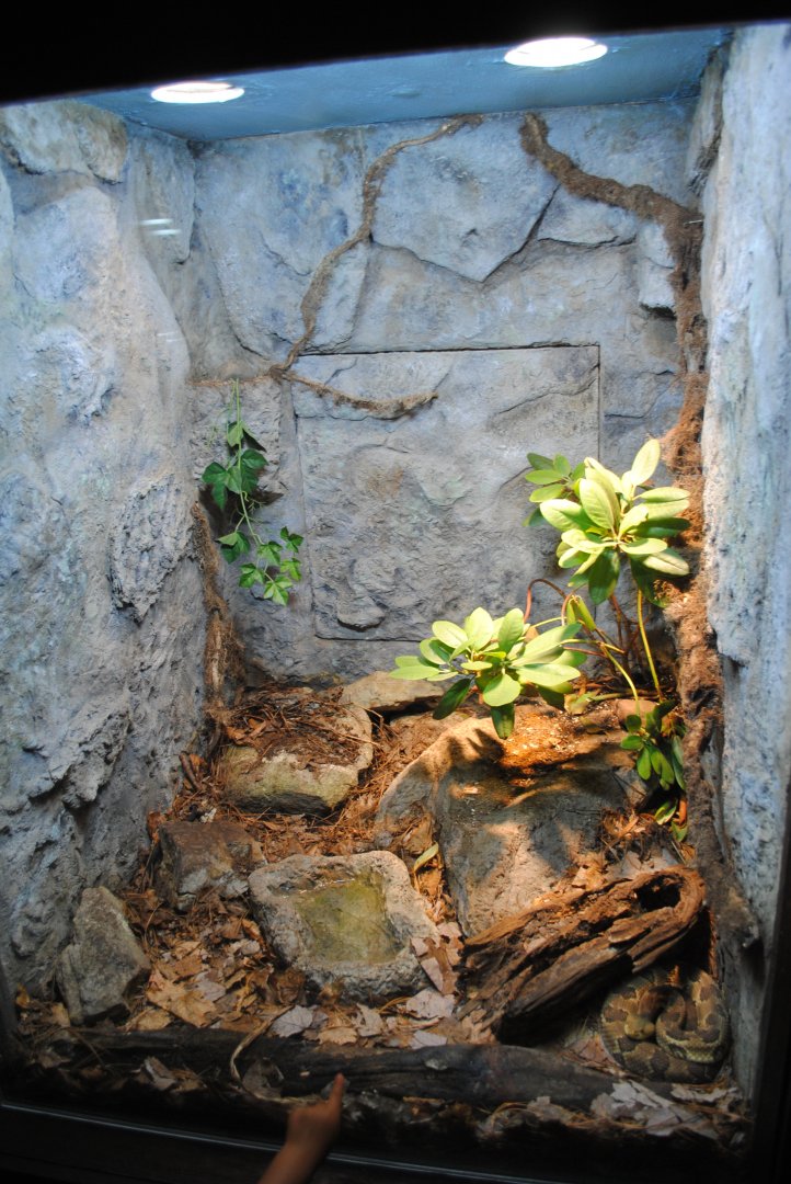 Reptile and Amphibian Discovery Center