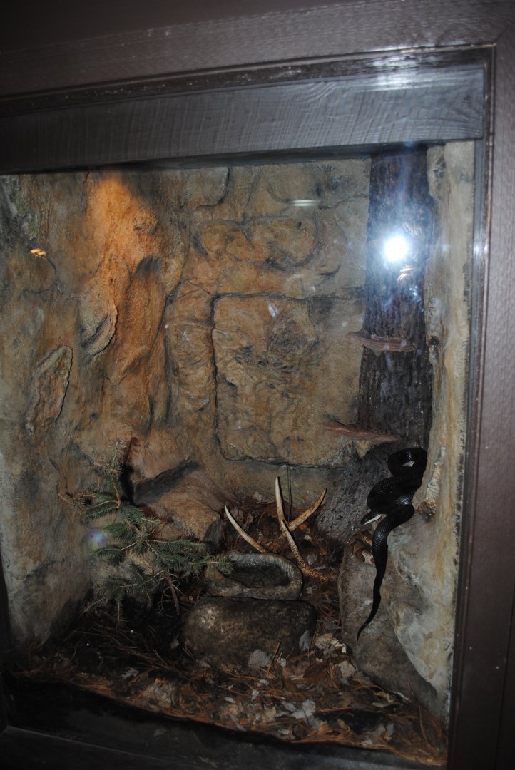 Reptile and Amphibian Discovery Center