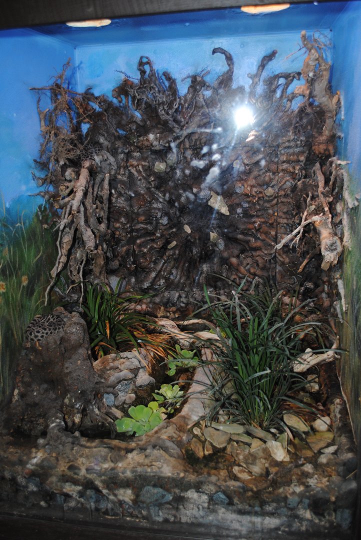 Reptile and Amphibian Discovery Center