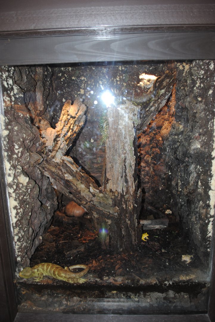 Reptile and Amphibian Discovery Center