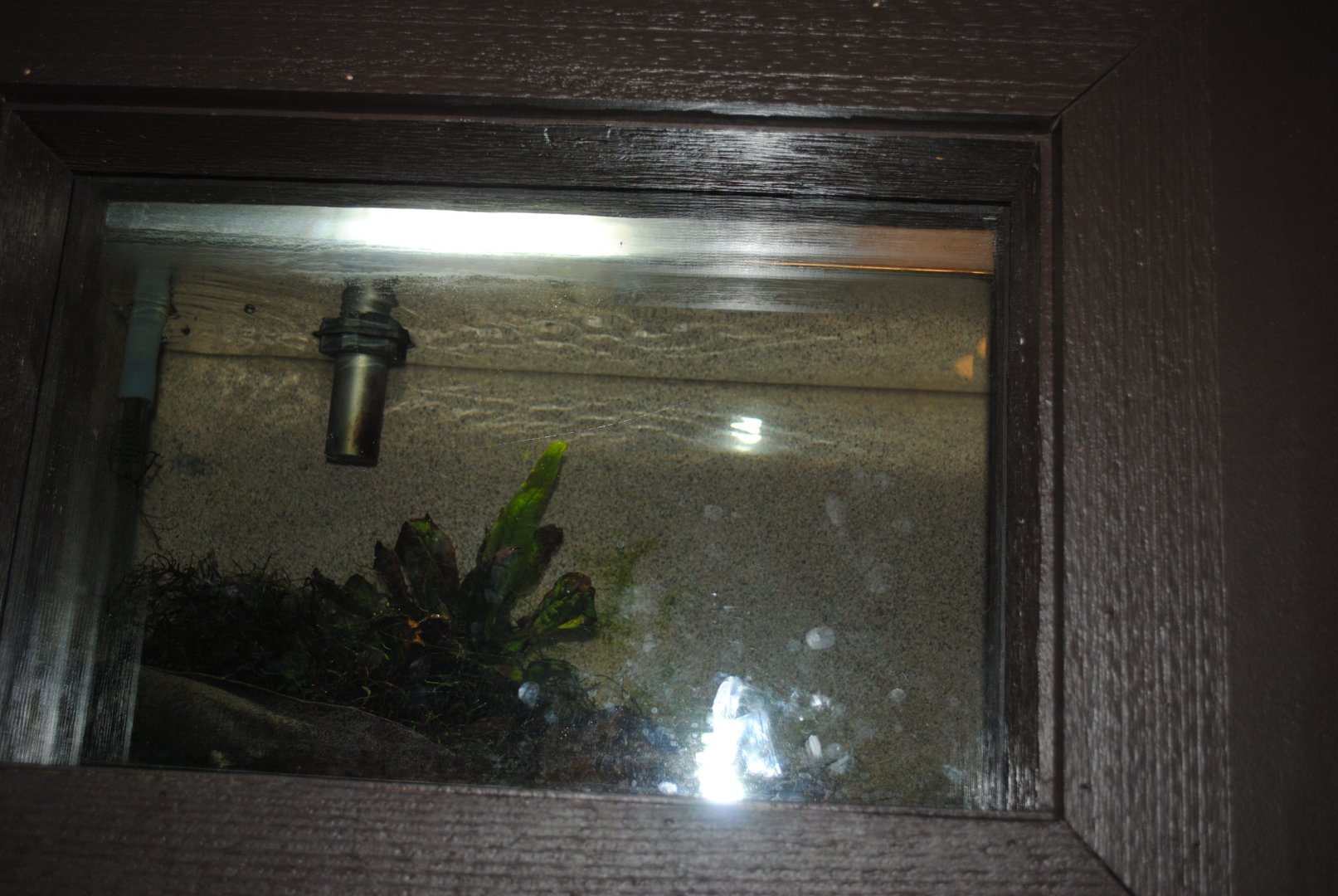 Reptile and Amphibian Discovery Center