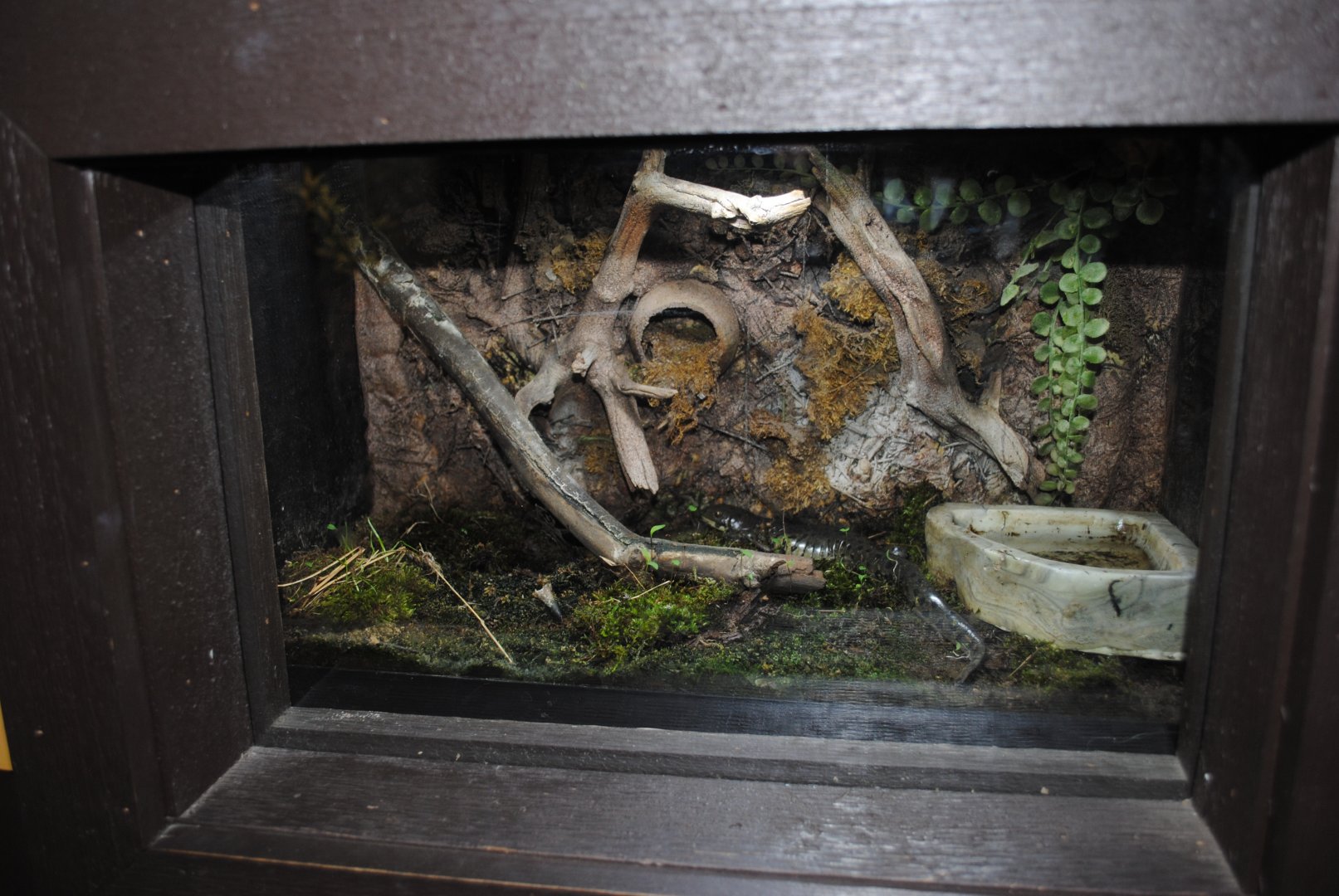 Reptile and Amphibian Discovery Center
