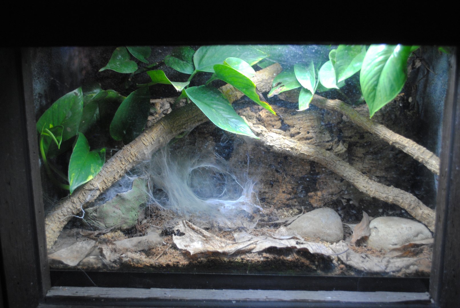 Reptile and Amphibian Discovery Center