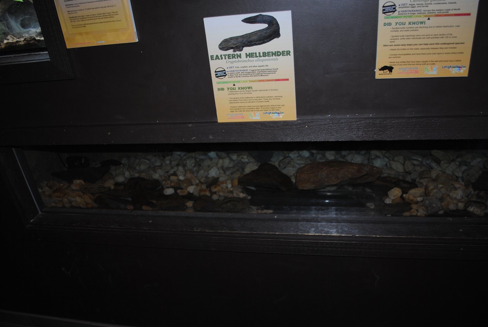 Reptile and Amphibian Discovery Center