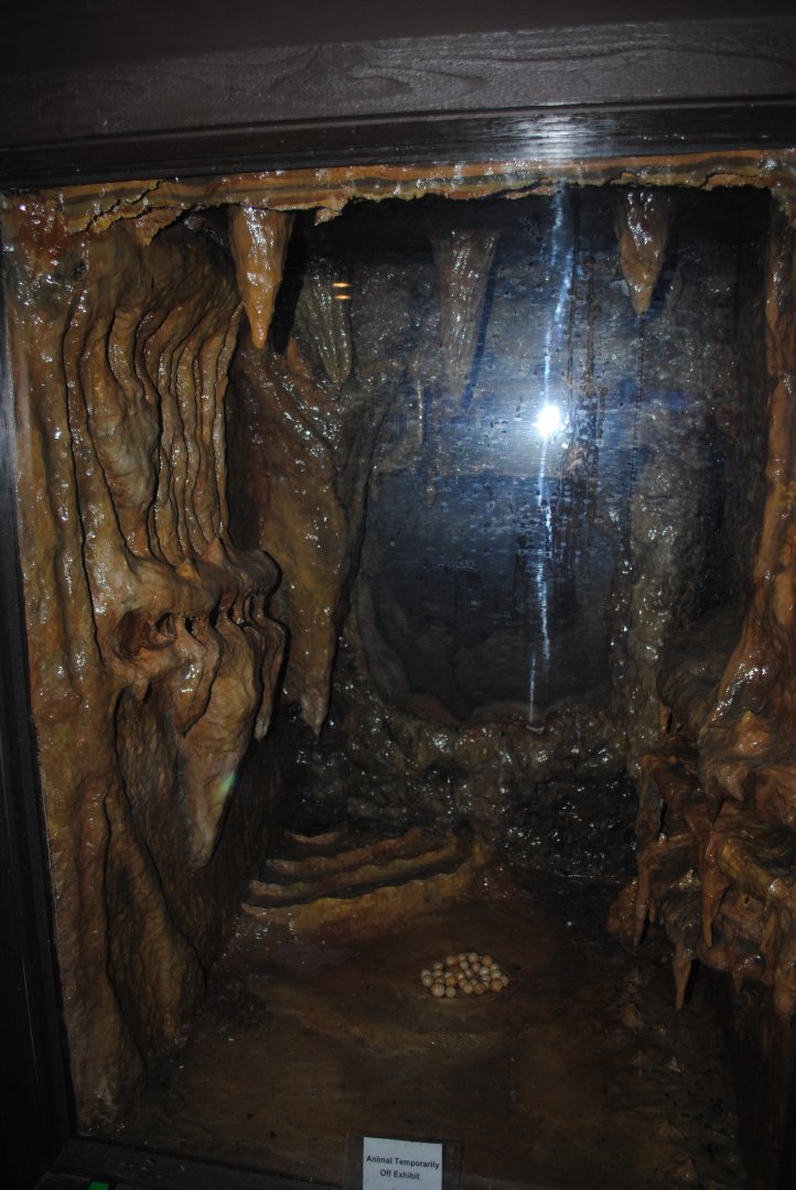 Reptile and Amphibian Discovery Center