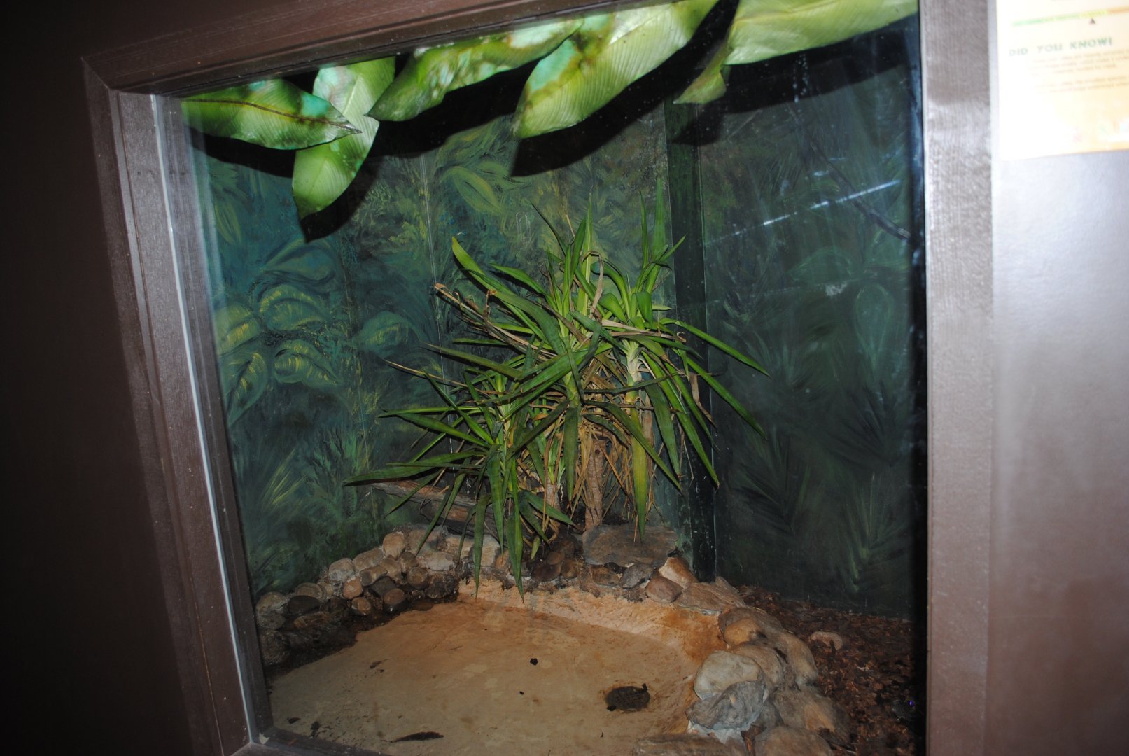 Reptile and Amphibian Discovery Center