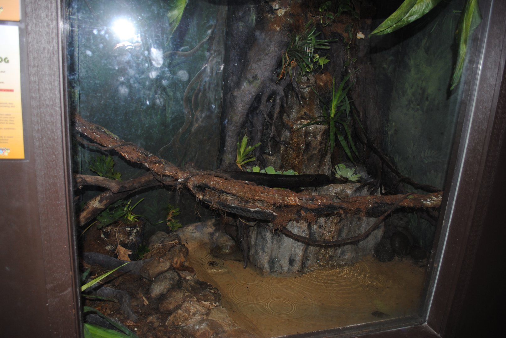 Reptile and Amphibian Discovery Center