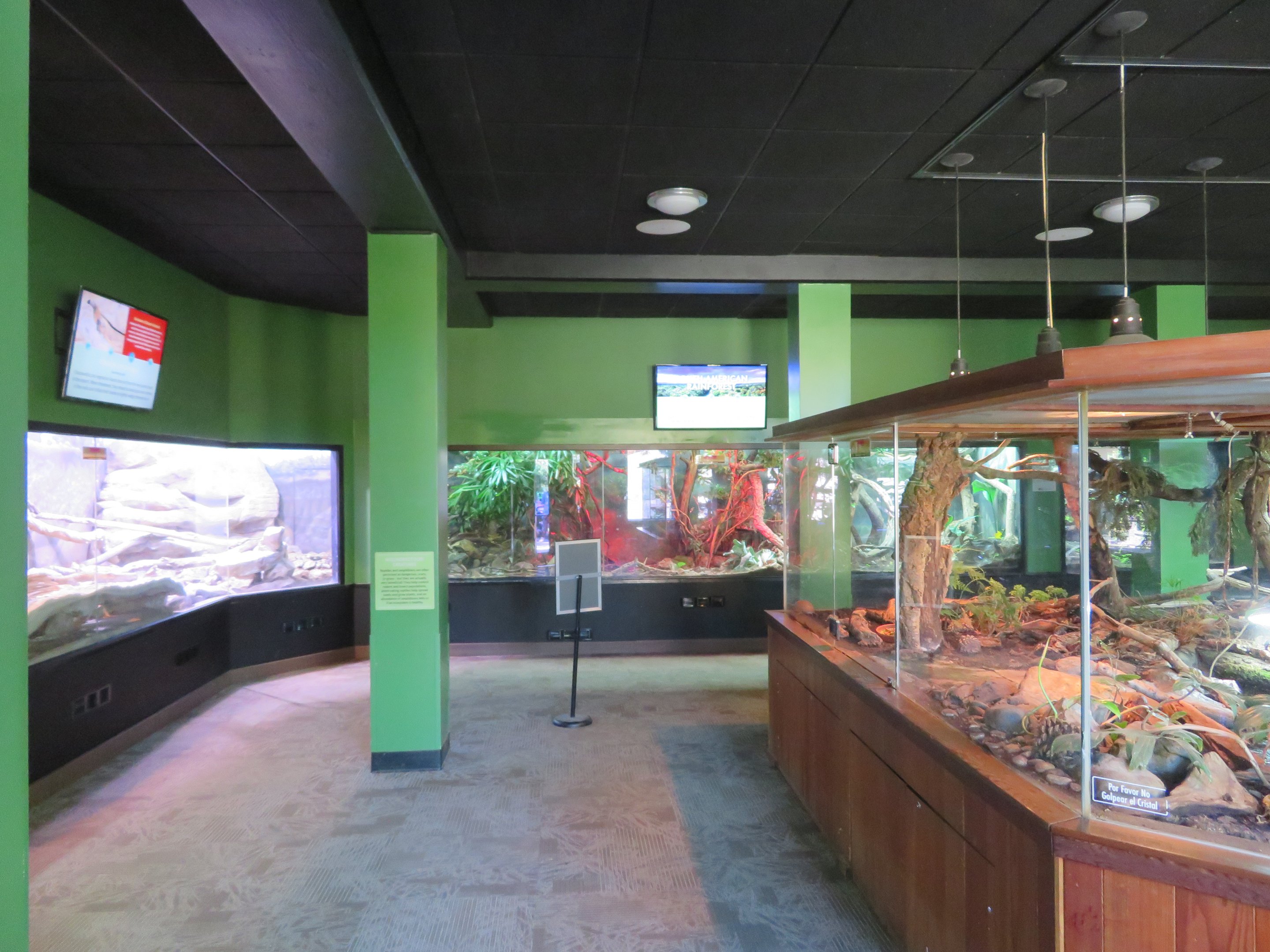 Reptile and Amphibian Discovery Room