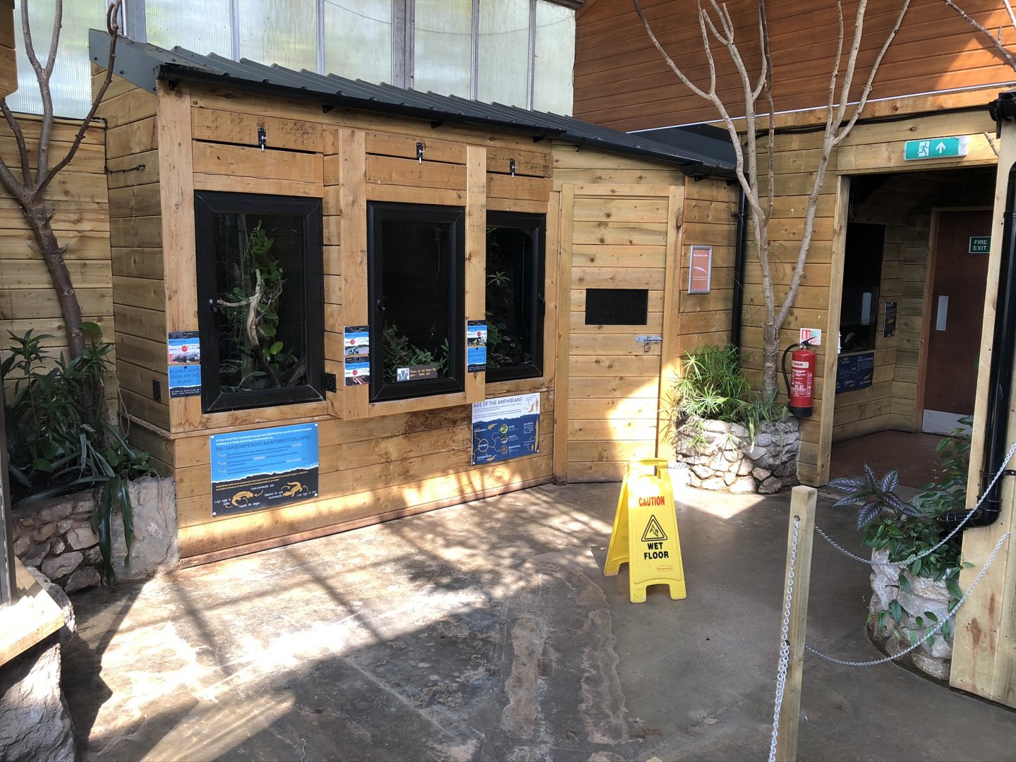 Reptile and Amphibian Exhibits at Lakeland Wildlife Oasis (2020)