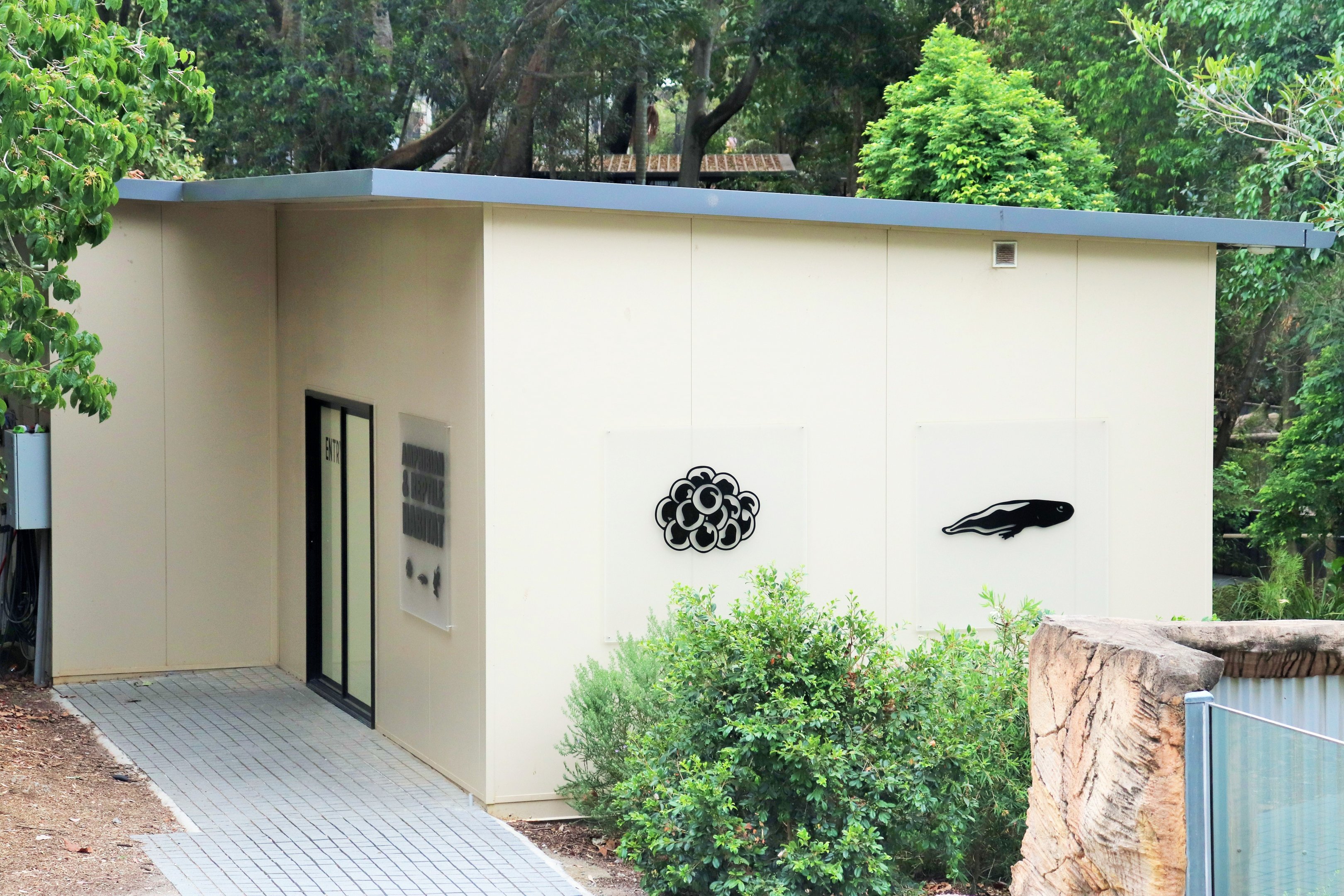 Reptile and Amphibian Habitat