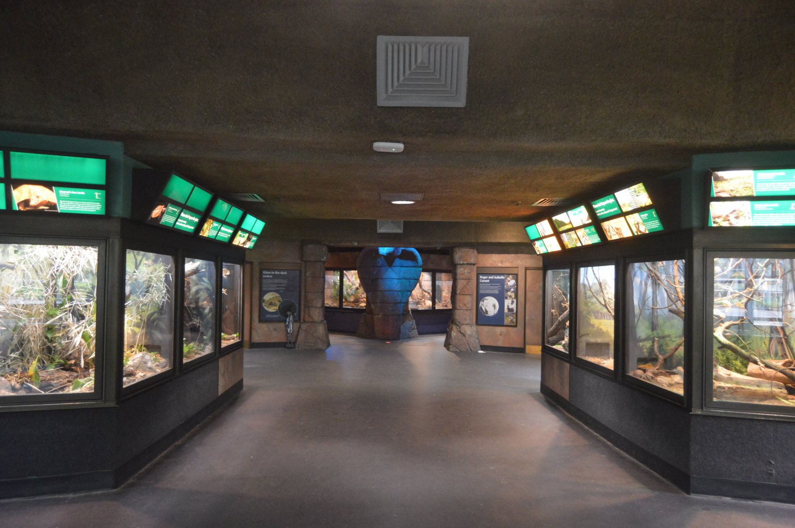 Reptile and Amphibian House - Overview of the First Wing