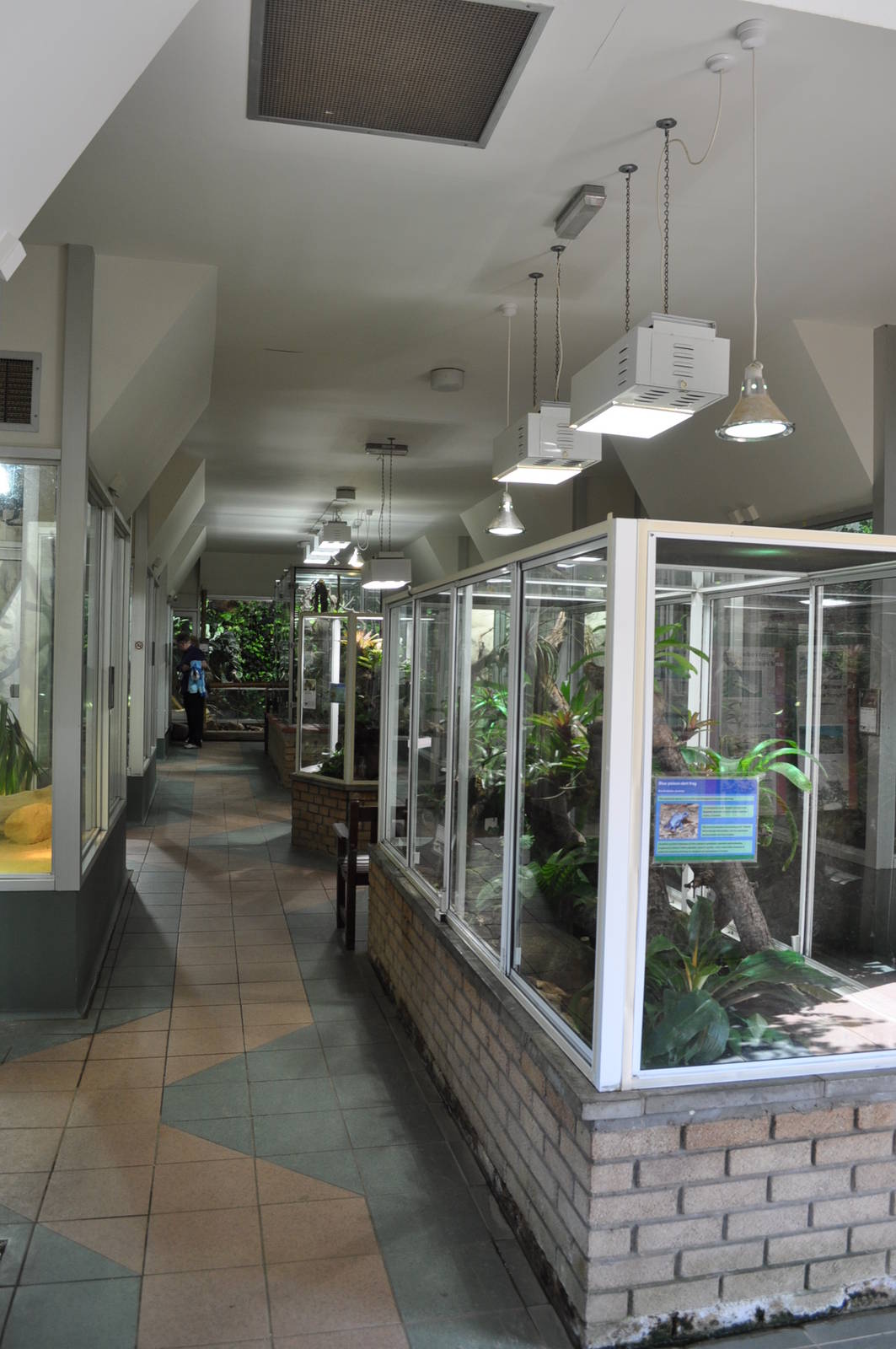 Reptile and Amphibian House