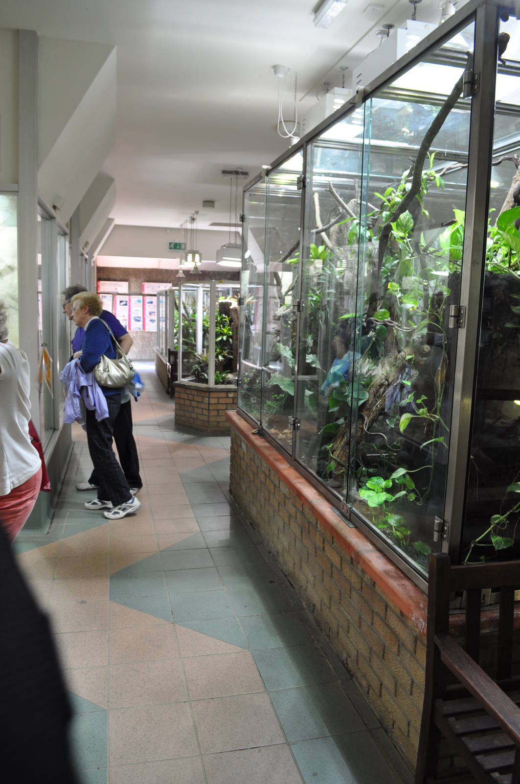 Reptile and Amphibian House