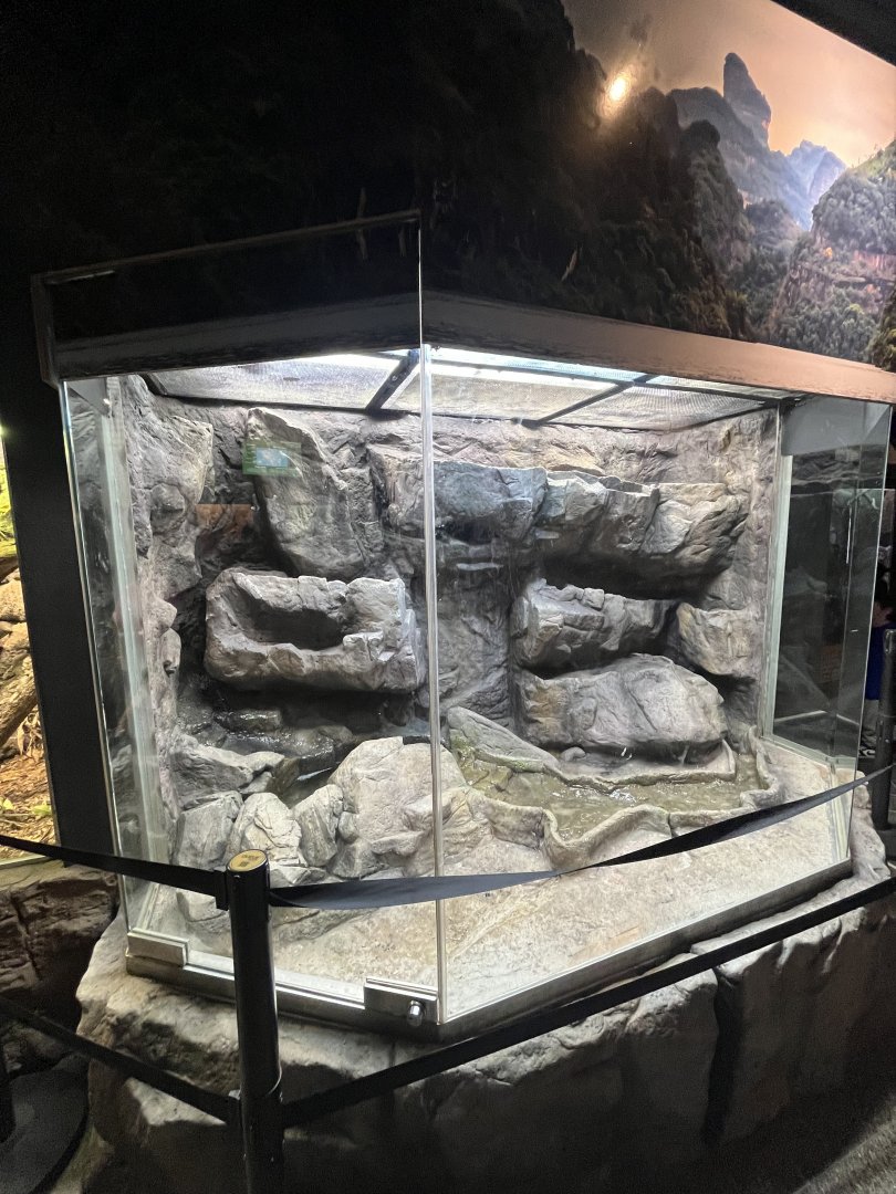 Reptile and Amphibian House