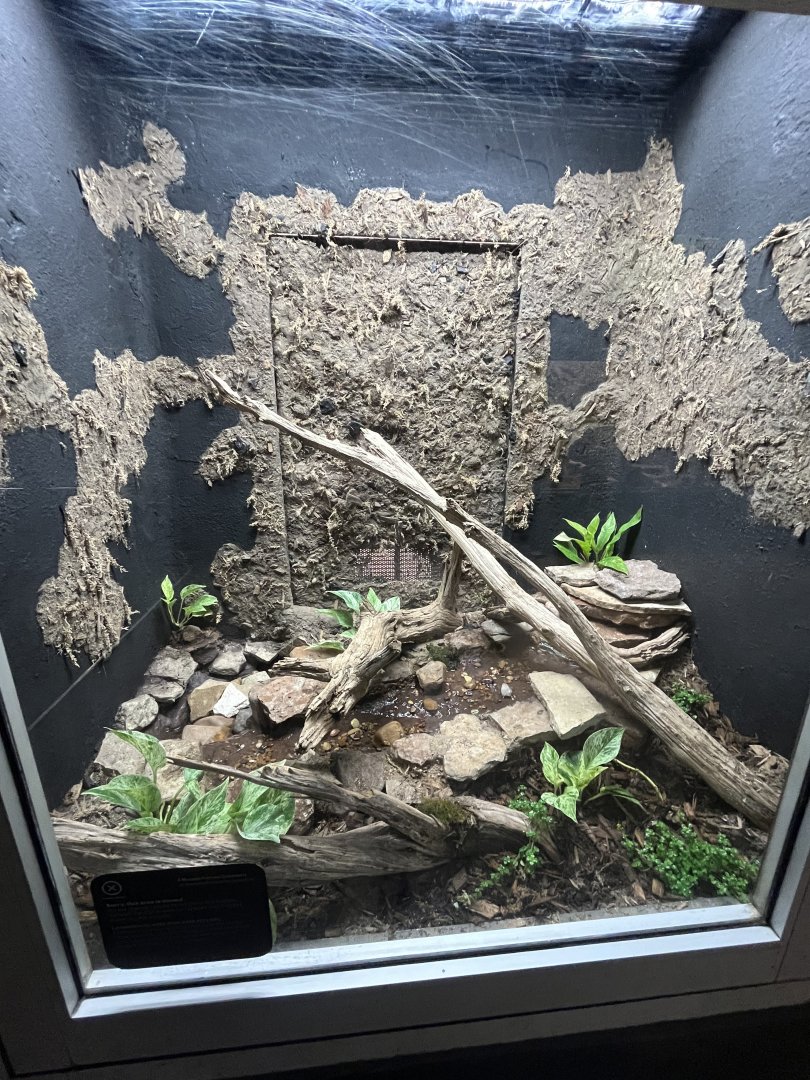 Reptile and Amphibian House