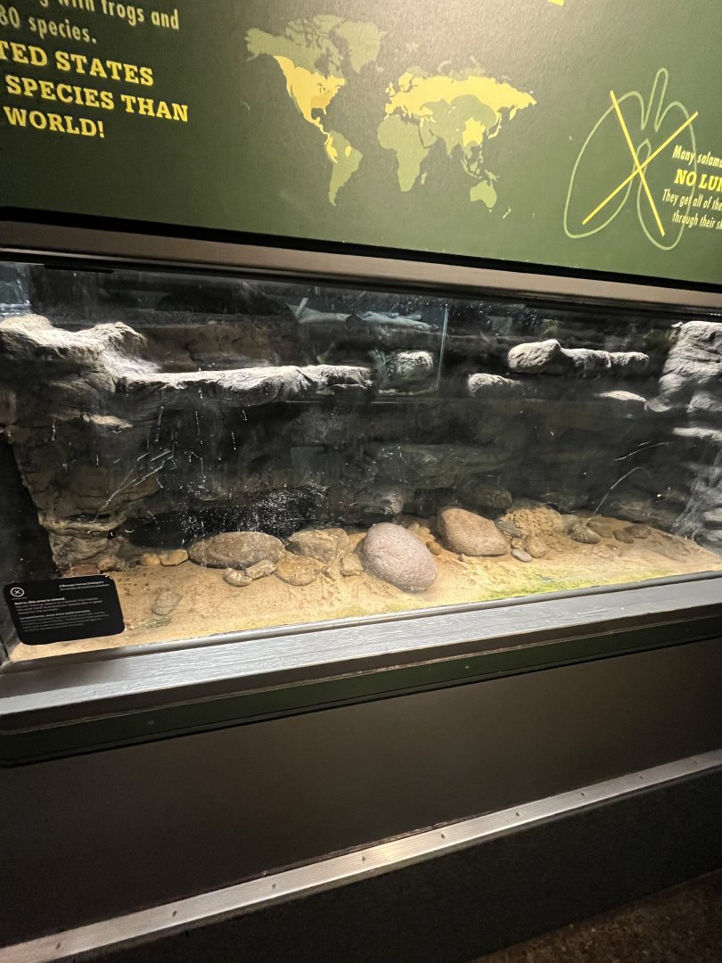 Reptile and Amphibian House