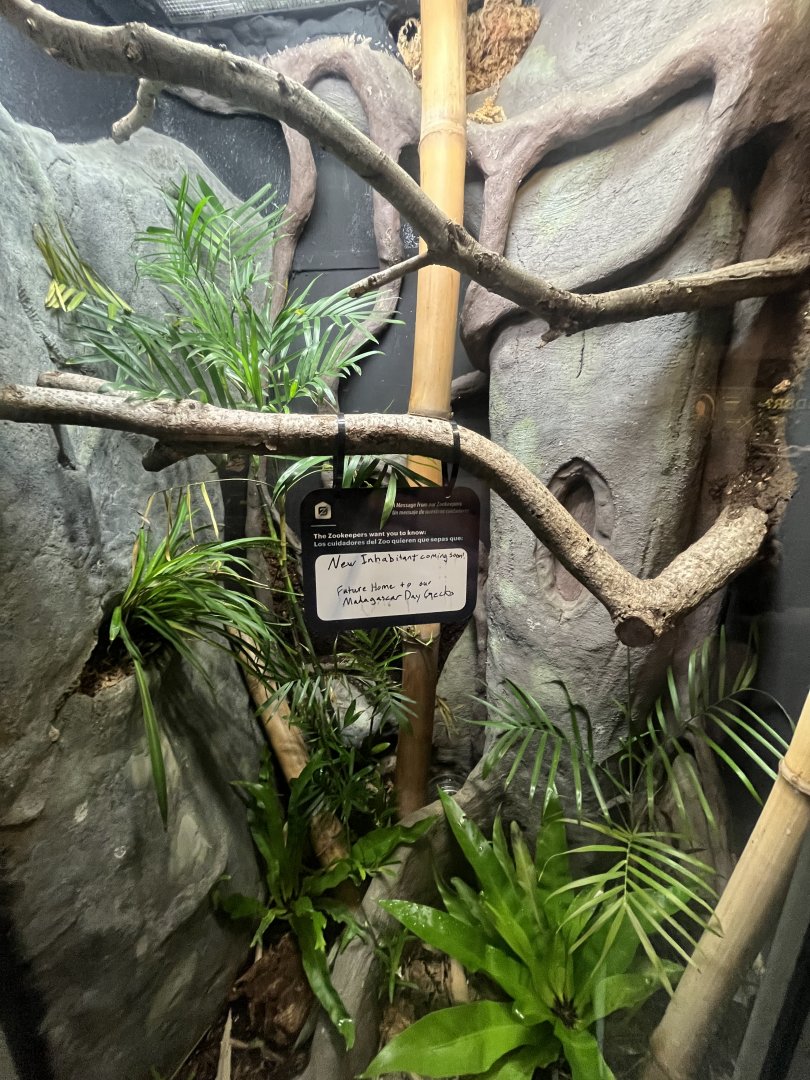 Reptile and Amphibian House