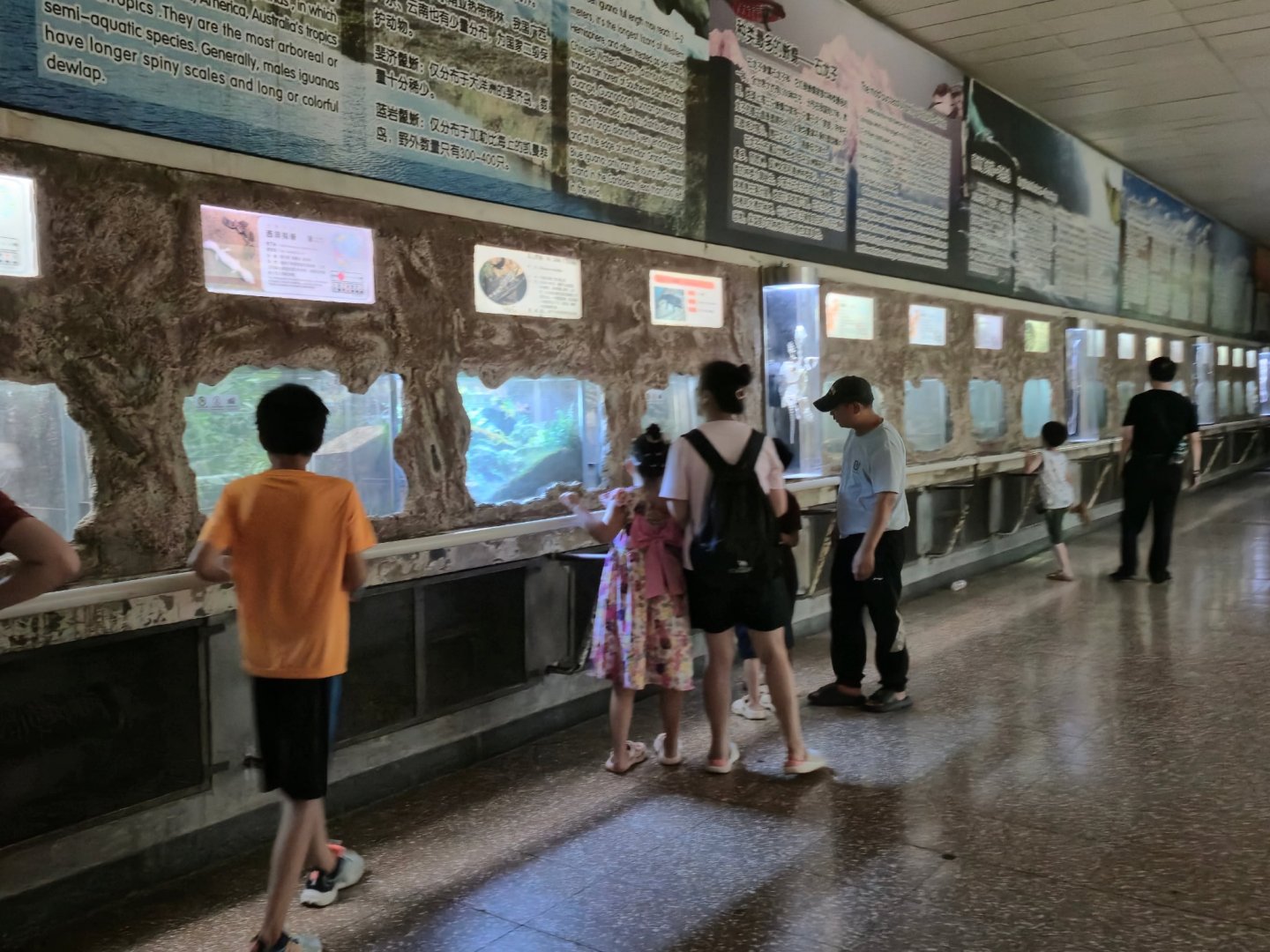 Reptile and Amphibian house