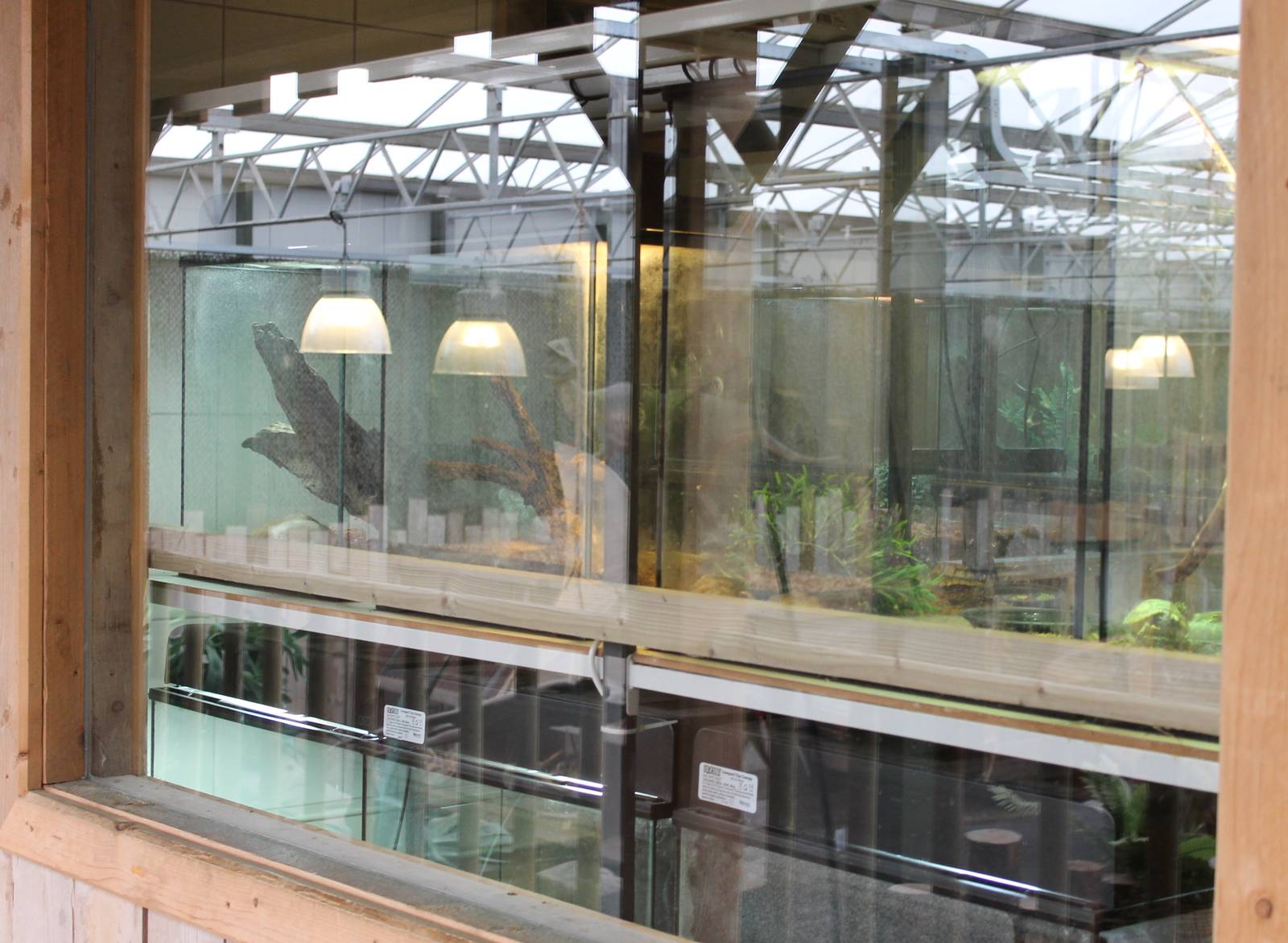 Reptile and amphibian raising room