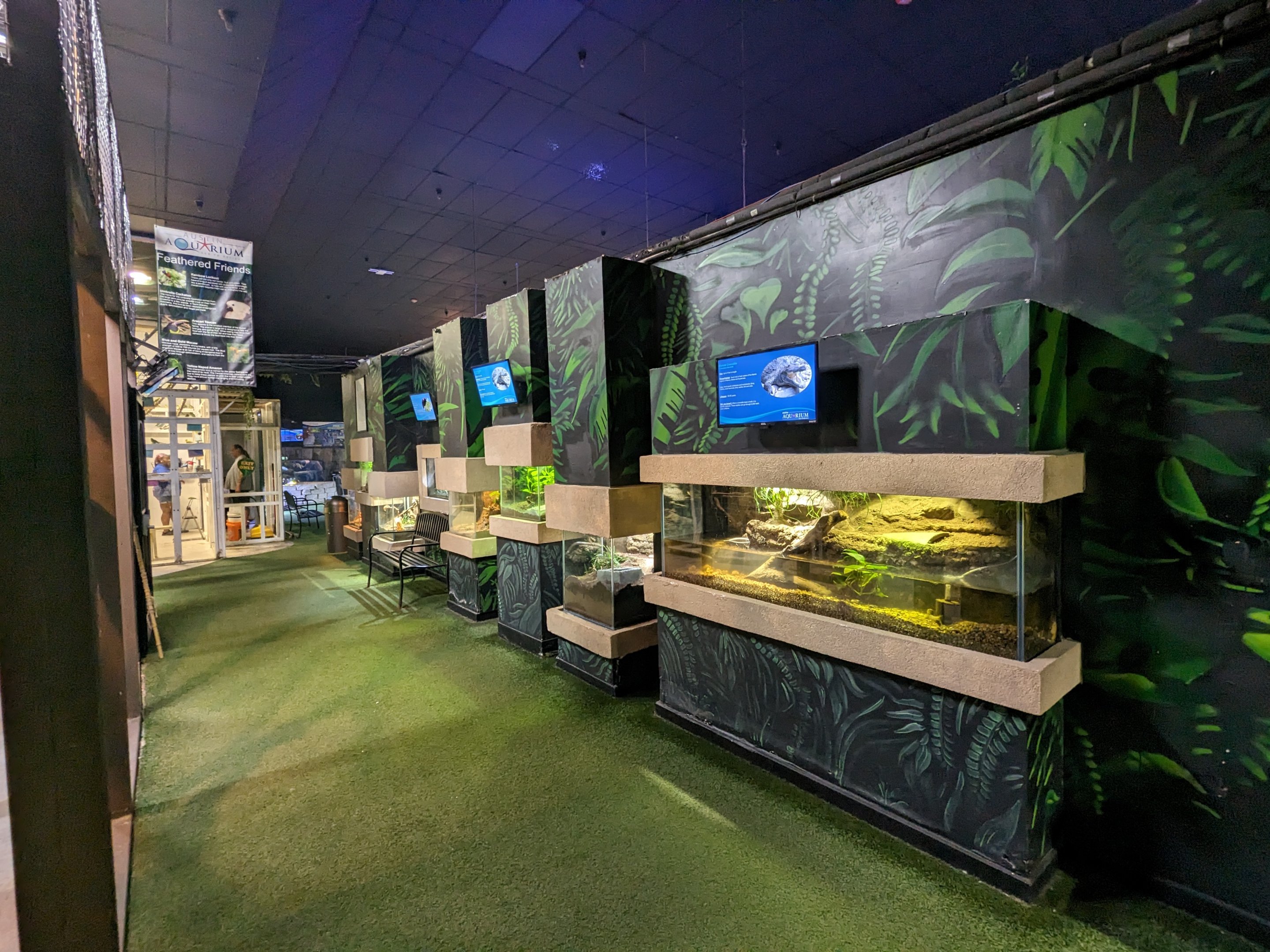 Reptile and amphibian tank hall view