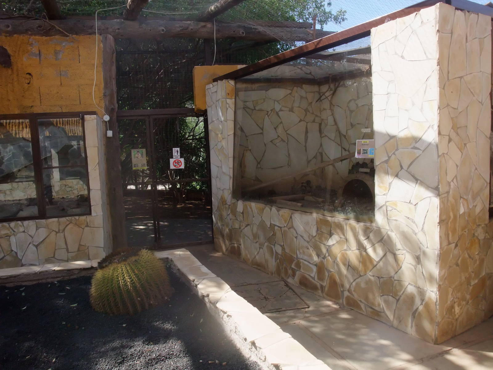 Reptile and Degu Exhibits at Monkey Park, 09/11/10