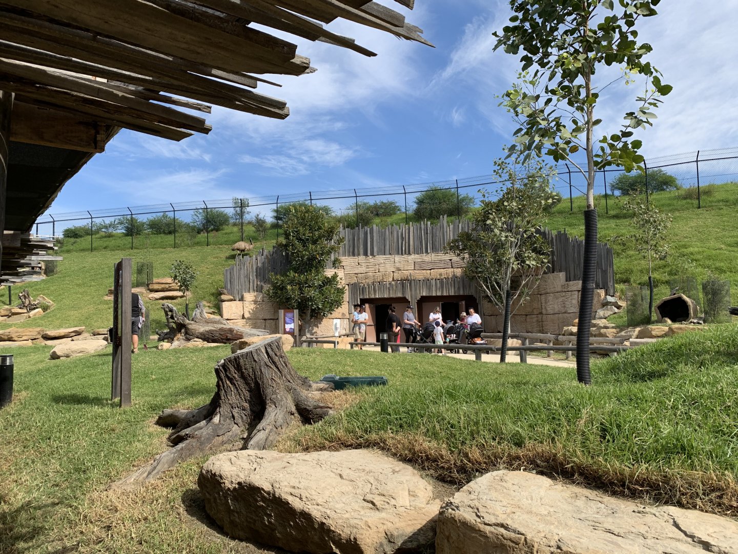 Reptile and Noctural House Exit