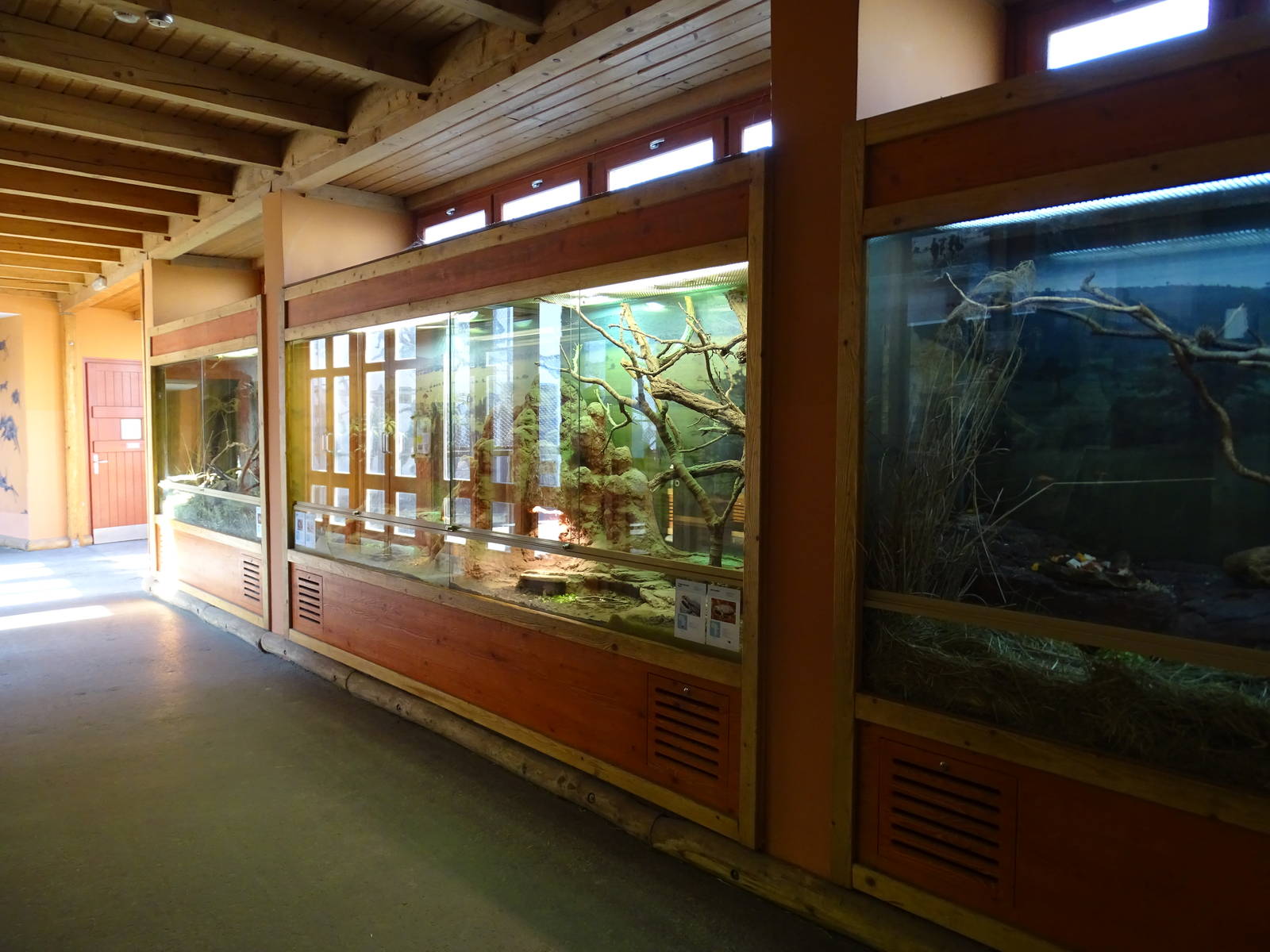 Reptile and rodent enclosures