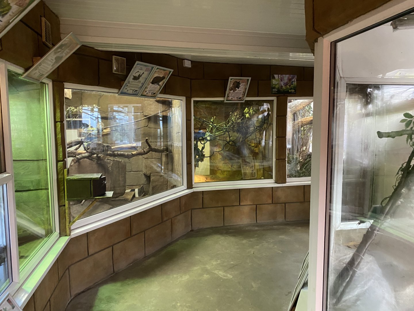 Reptile area 141023