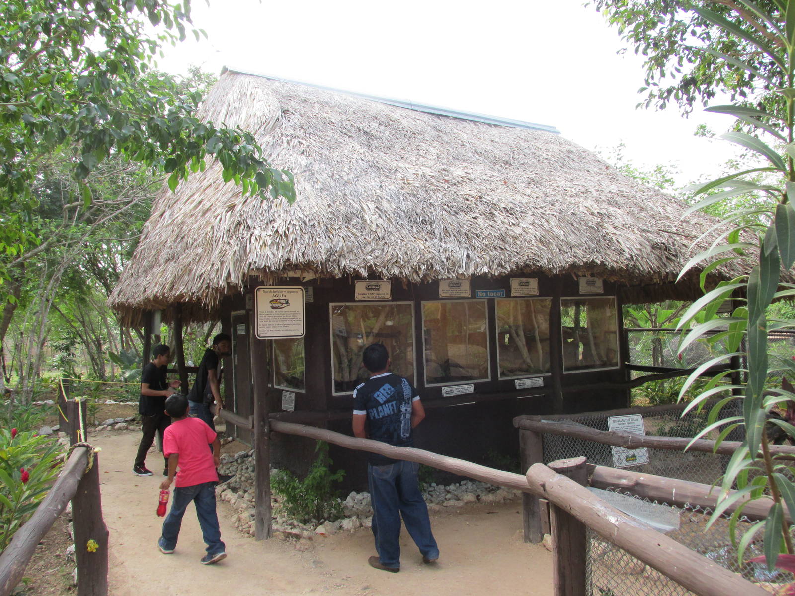 reptile area animaya