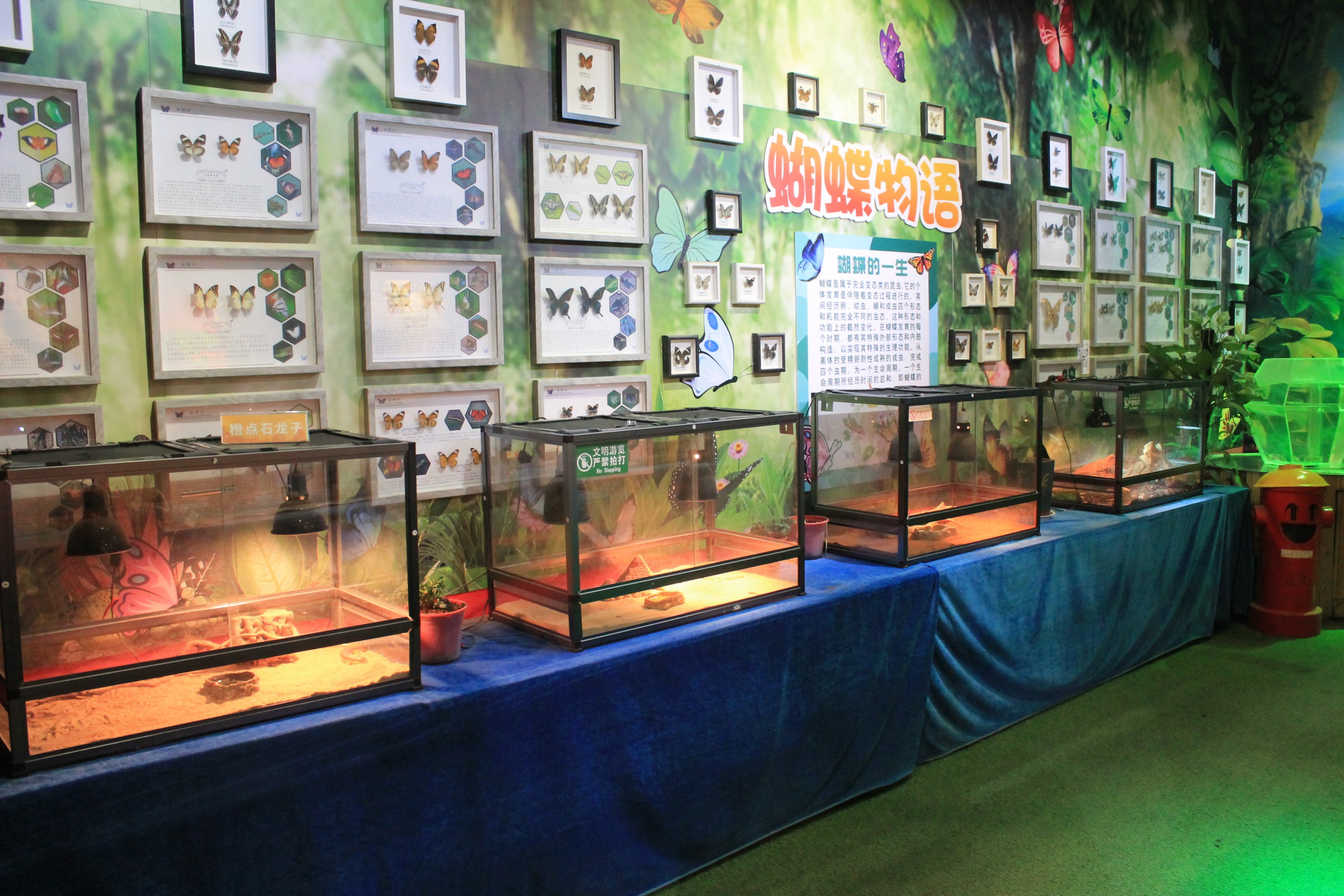 Reptile area at Fantasy Aquarium, Xi'an