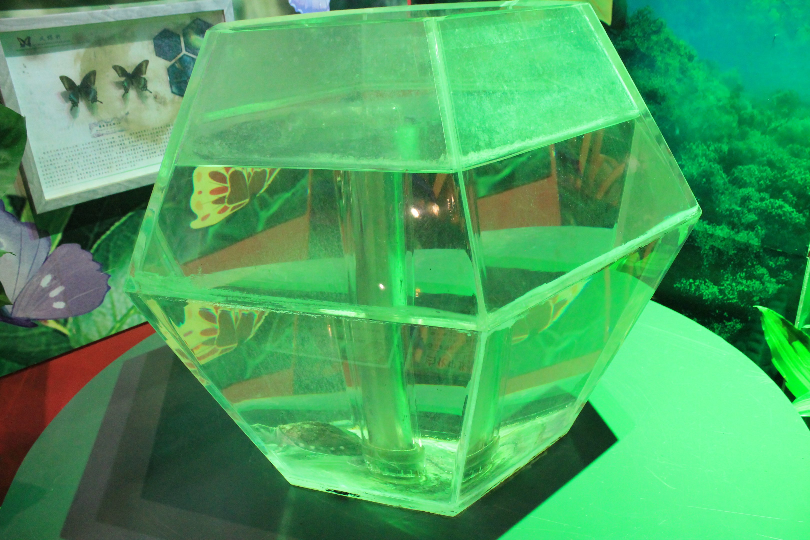 Reptile area at Fantasy Aquarium, Xi'an