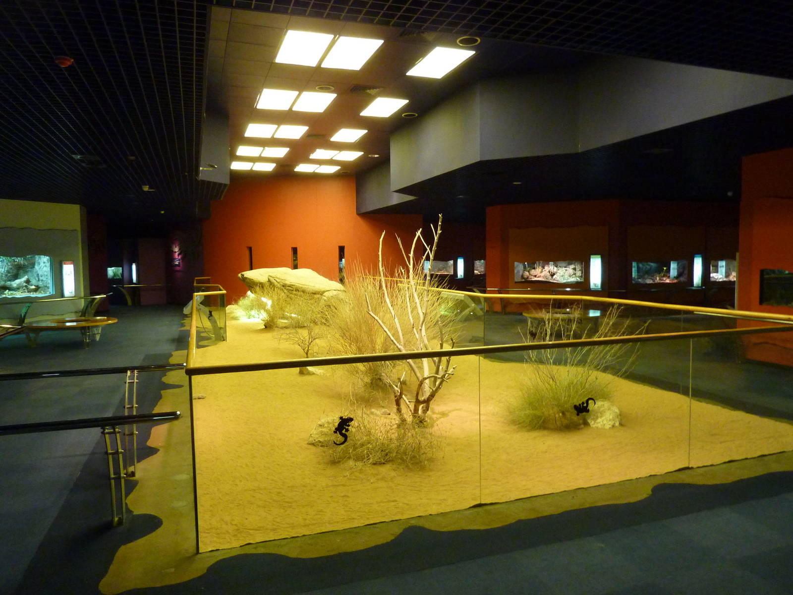 Reptile area, December 2011.