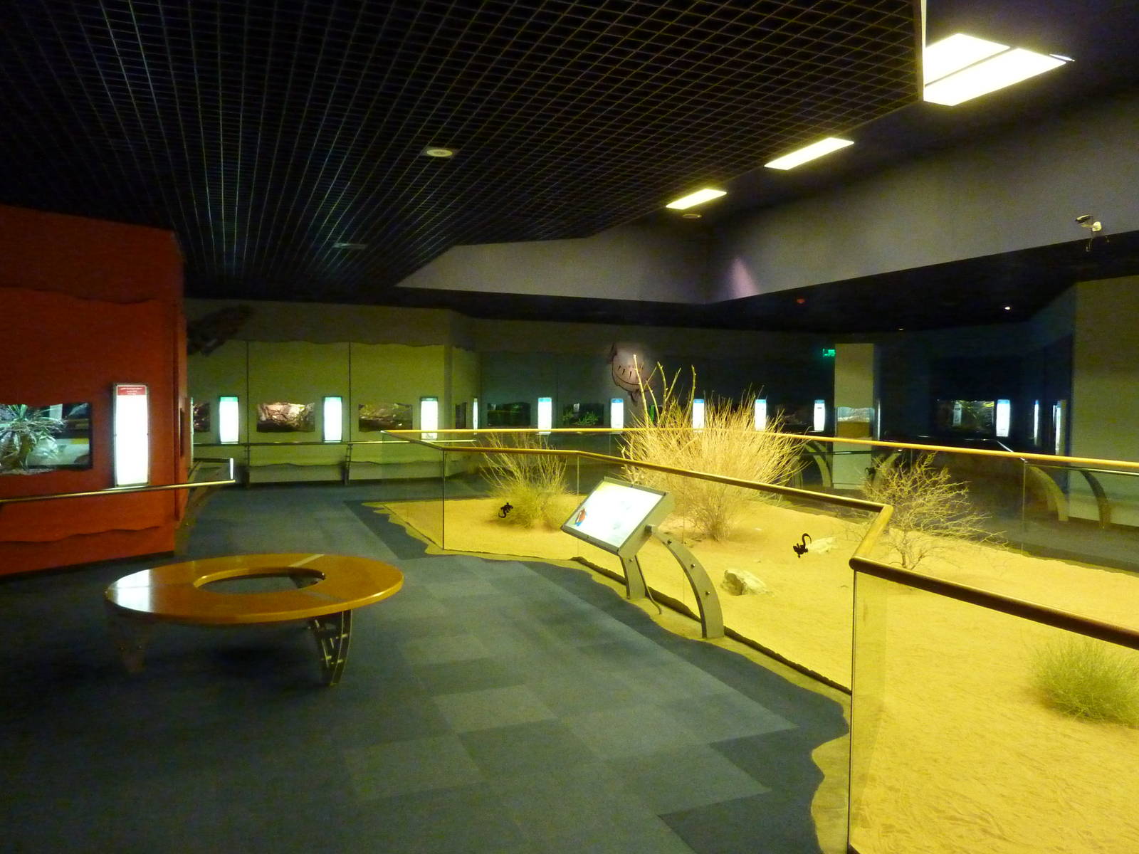 Reptile area, December 2011.