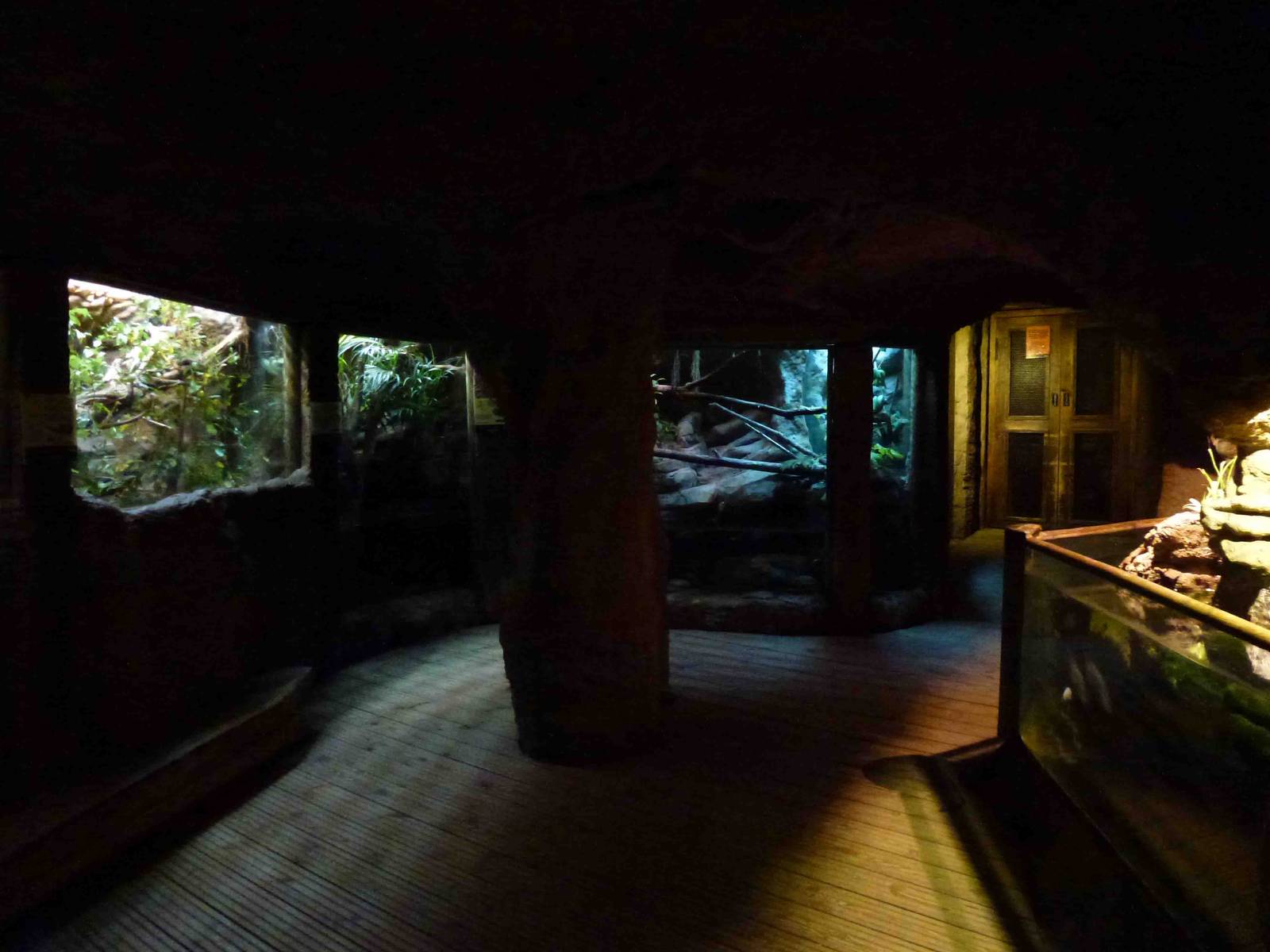 Reptile area, July 2013.