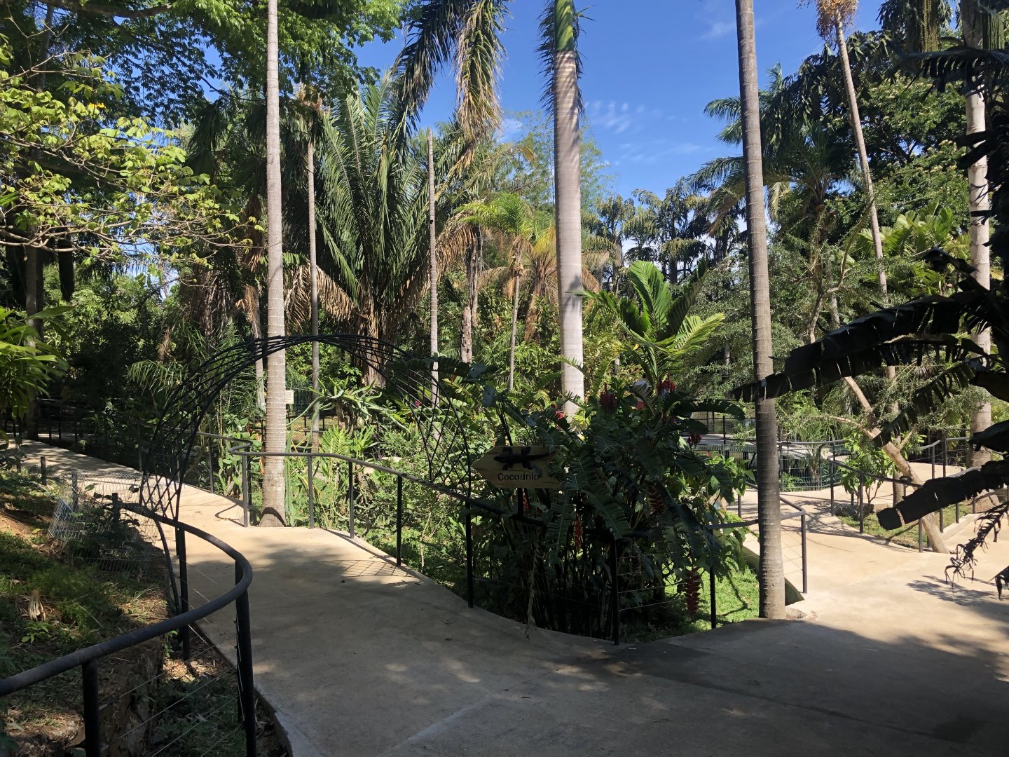 Reptile Area (Turtles & Crocodile)