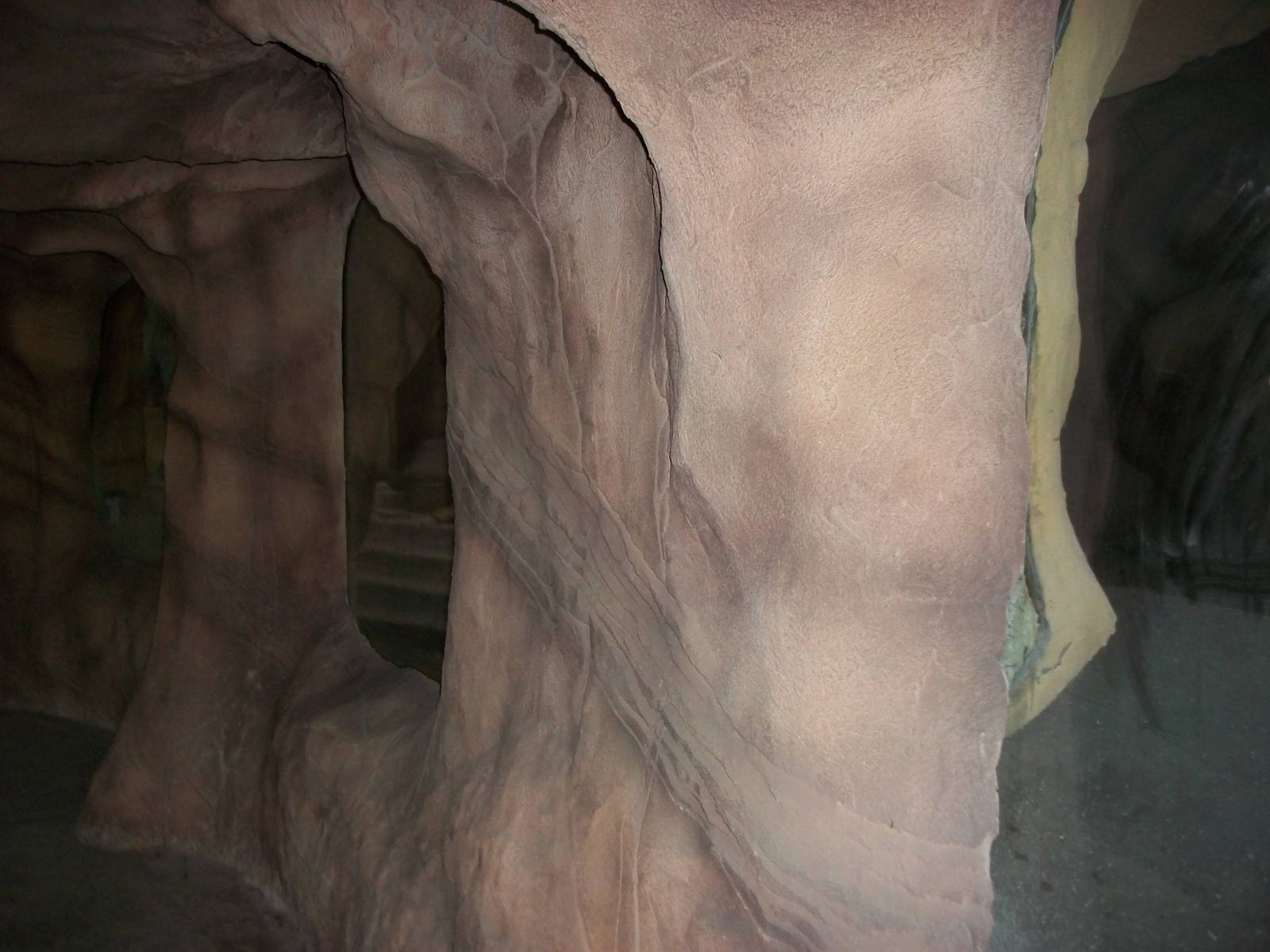 Reptile area under construction 1st November 2012