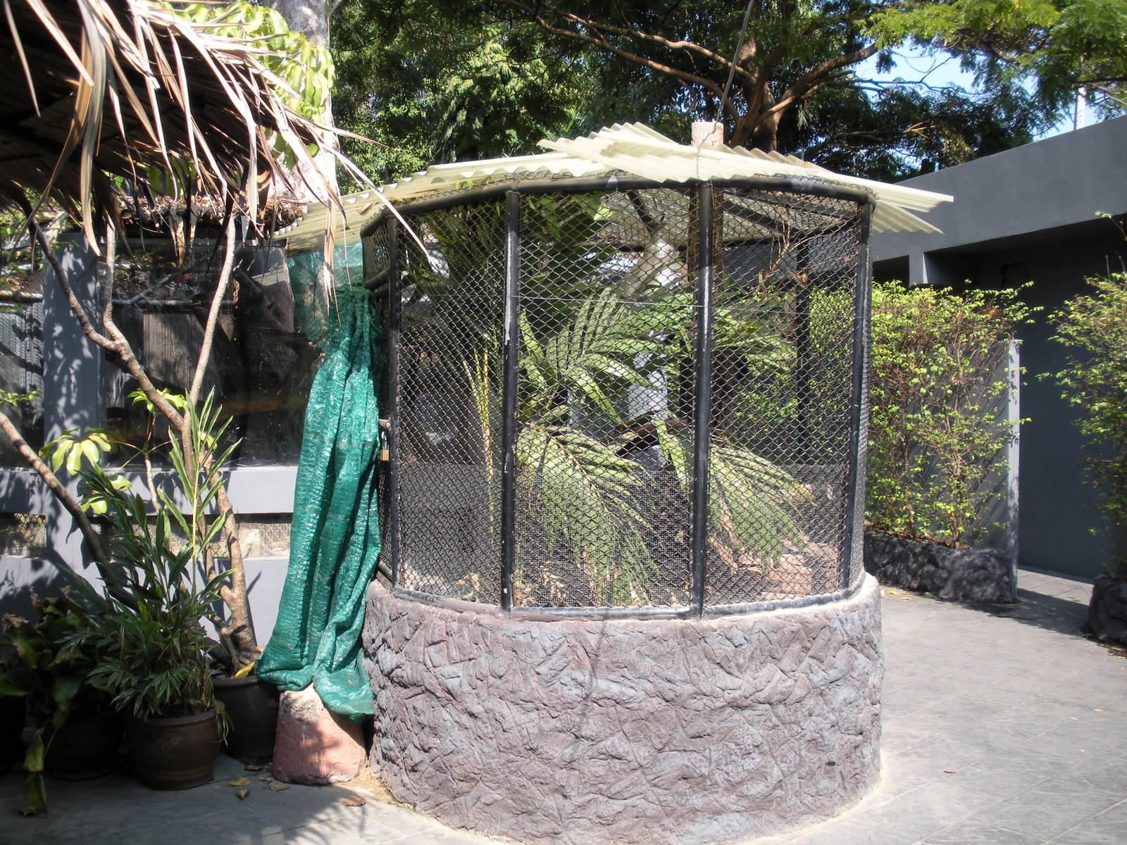 Reptile area