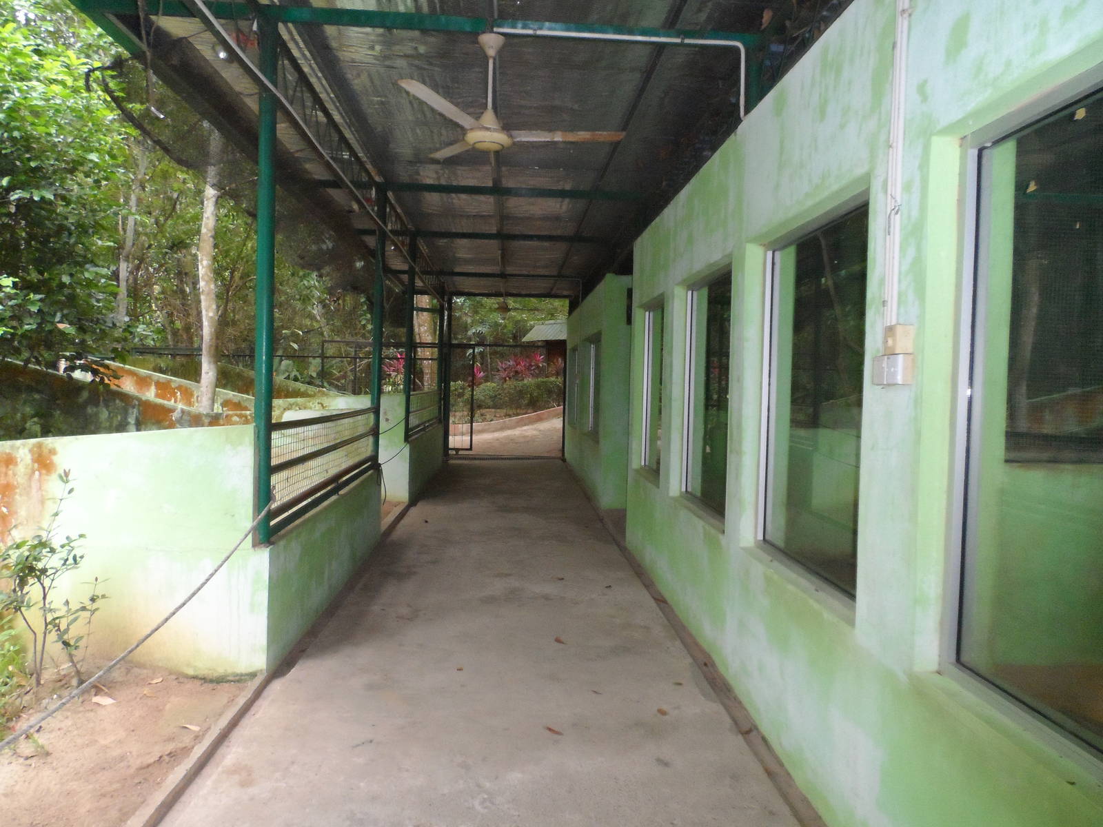 Reptile Area