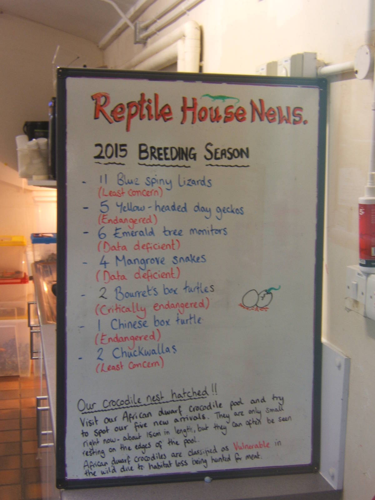 Reptile breeding results for 2015