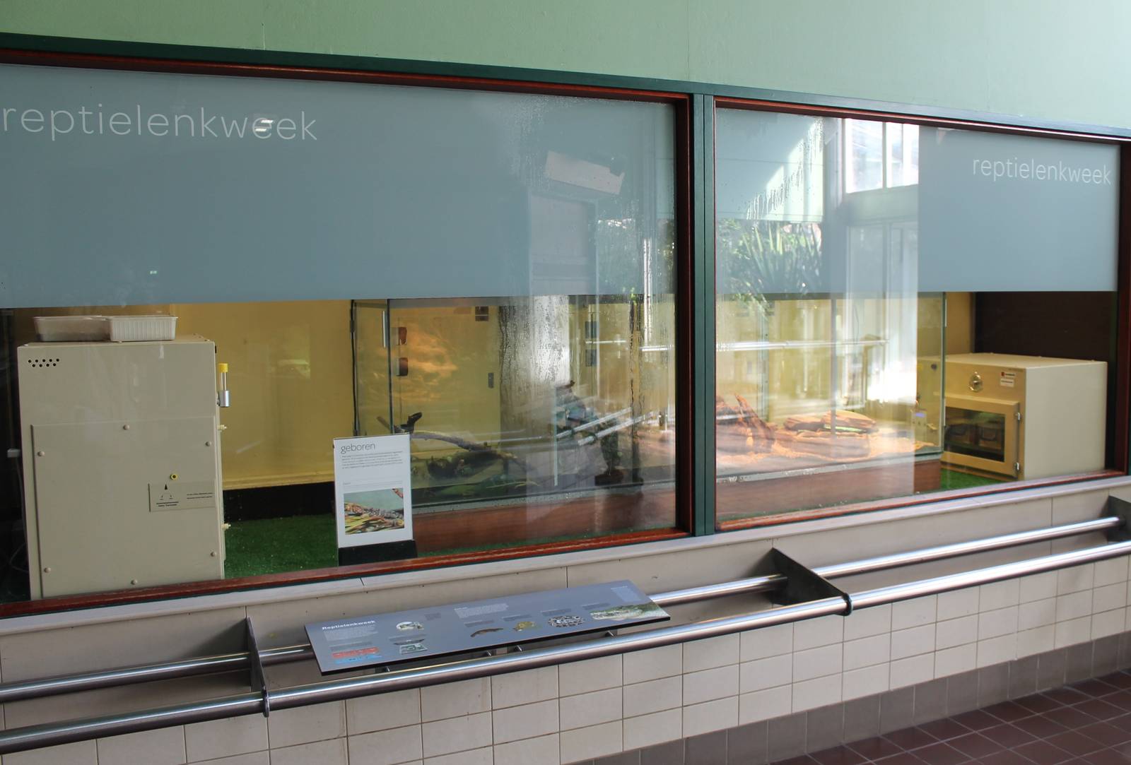 Reptile breeding room